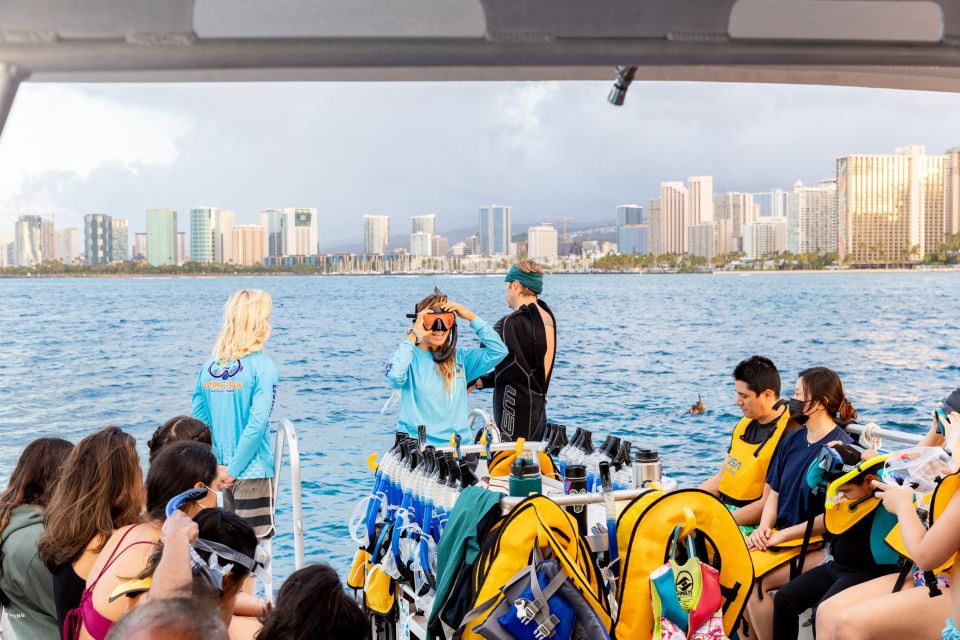 Oahu: Waikiki Turtle Canyons Cruise and Snorkel Excursion - What to bring (and how to avoid the common “oops” moments)
