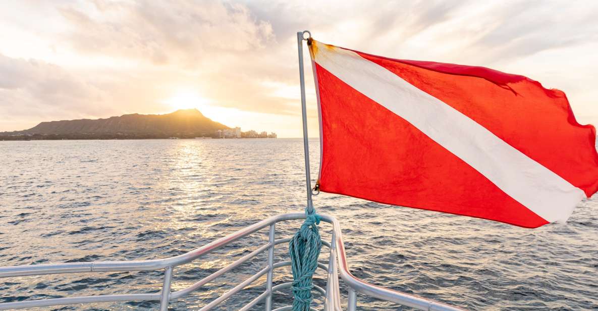 Oahu: Waikiki Turtle Canyons Cruise and Snorkel Excursion - The Waikiki coast cruise: spotting dolphins and seasonal whales