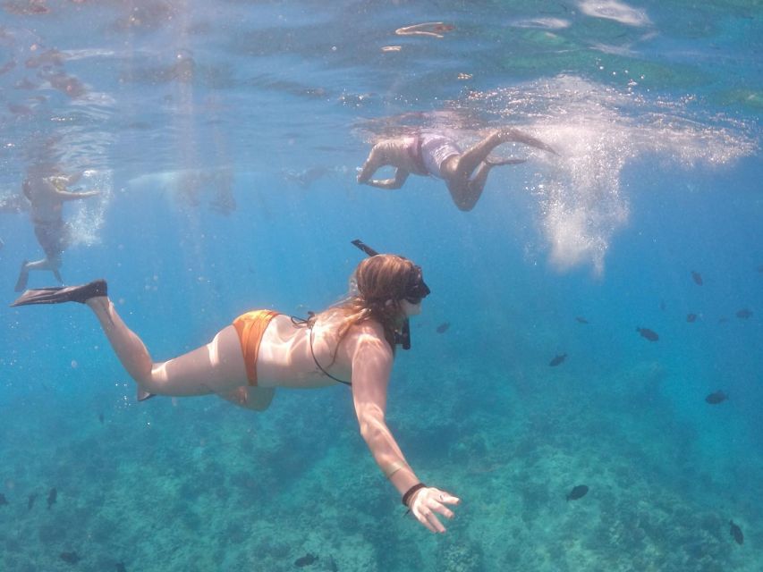 Oahu: Waikiki Turtle Snorkeling Adventure Cruise - Waikiki Turtle Snorkeling: Why This Catamaran Format Works