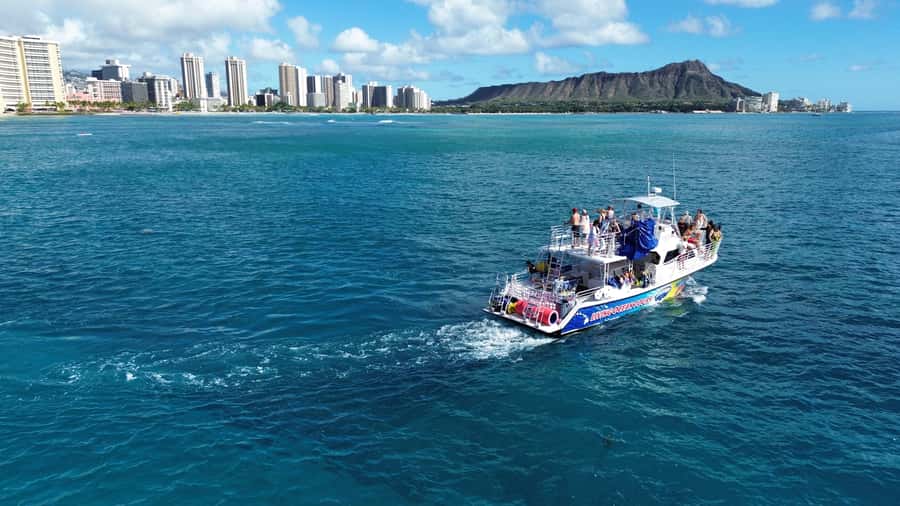 Oahu: Whale Watching Cruise Whales Guaranteed - Why this 90-minute format works for whale watching on Oahu