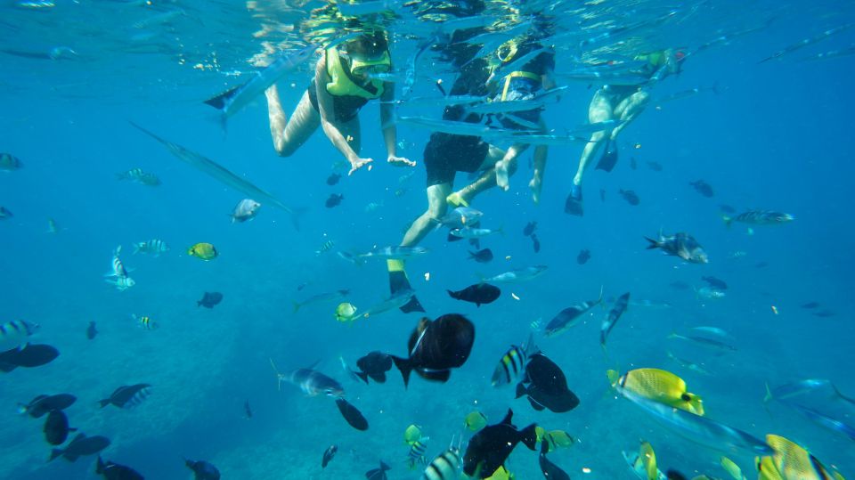 Oahu: Wild Dolphins Swim Turtle Snorkel Tour & Waterslide - Warming up: hot shower, snacks, and the small comforts that help