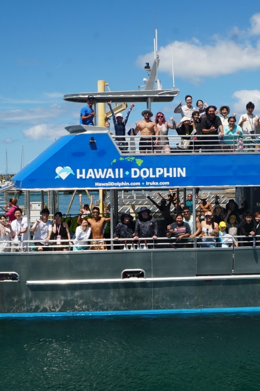 Oahu: Wild Dolphins Swim Turtle Snorkel Tour & Waterslide - Price and value: is $199 per person a fair deal?