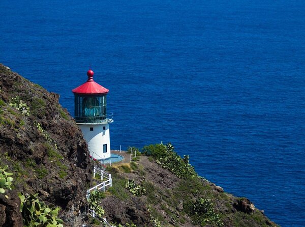 Oahu's Stunning Views: Half-Day Scenic Tour with 7 Lookouts - Key things I’d plan around