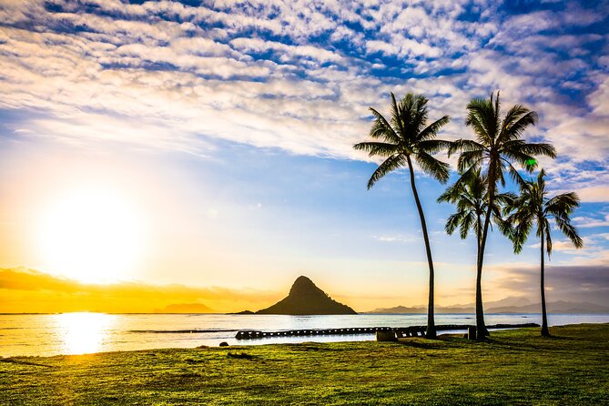 Oahu's Ultimate Grand Circle Island Tour with Snorkeling and More - Macadamia Nut Company stop: samples, a real food pause, and lunch logistics
