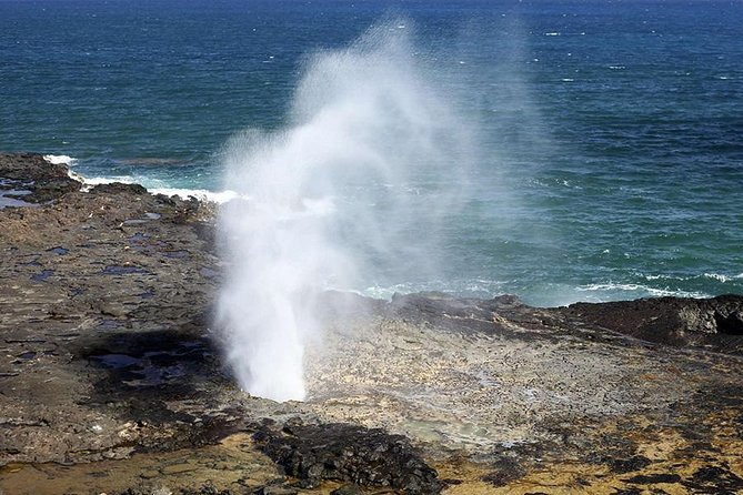 Oahu's Ultimate Tour: Dole, Turtle Snorkel, Pali Lookout & More - The North Shore Shift: Tropical Farms, Fruit Stops, and Kahuku Energy