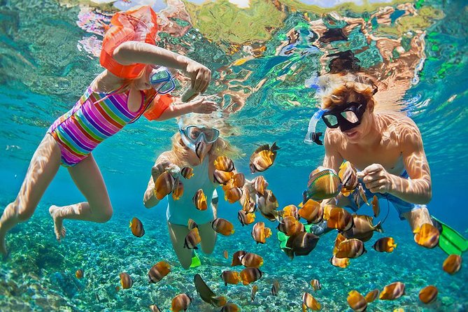 Oahu's Ultimate Tour: Dole, Turtle Snorkel, Pali Lookout & More - Sunrise at Diamond Head: Worth It, Even Without Crater Access
