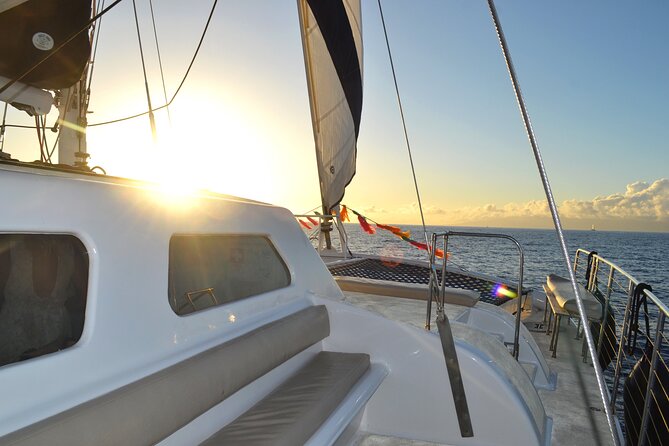 Oahu's Waikiki Coast: Moana’s Sunset Cocktail Sail - Wildlife Odds: Dolphins Now, Humpbacks Nov–May