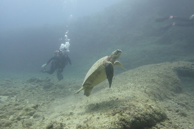 Open Water Scuba Certification - SSI Open Water in Honolulu: why this course format works