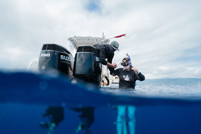 Open Water Shark Dive - Safety first: how the crew checks conditions and wildlife behavior
