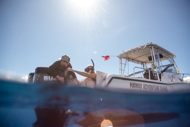 Open Water Shark Dive - Underwater encounters: what you might see in clear North Shore water