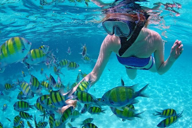 Paradise Waikiki Sunset Cruise + LIVE DJ + SWIMMING - Should you book Paradise Waikiki Sunset Cruise + LIVE DJ + SWIMMING?