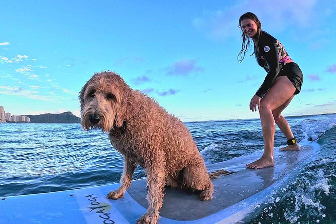 Private 1-on-1 Surf Lesson with Videos and Photos - Photos and Videos Sent Same Day: Your Proof of Progress