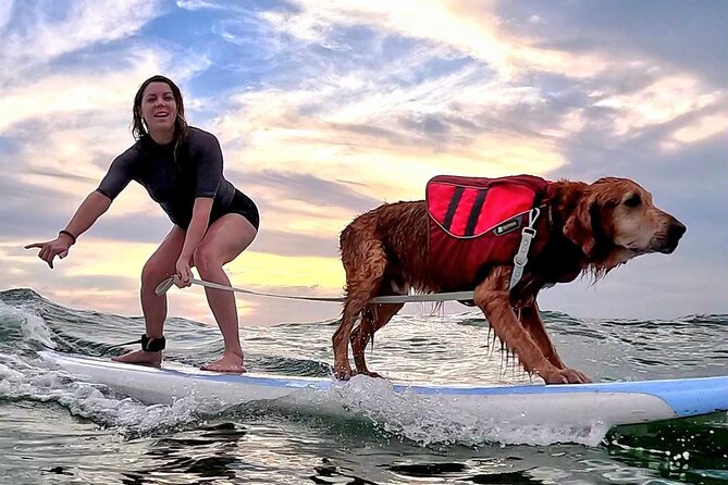 Private 1-on-1 Surf Lesson with Videos and Photos - Price, Timing, and Why Booking Ahead Matters