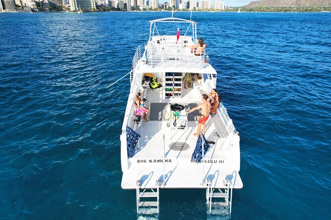 Private Boat Charter in Waikiki for Snorkeling and Events - Wildlife chances: turtles, dolphins, and whale season