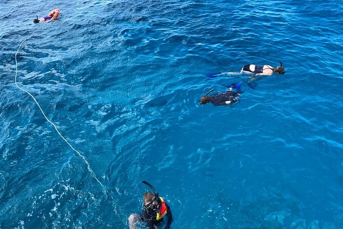 Private Catamaran Cruise and Snorkeling Tour in Honolulu - Price and value: $749 per group is the trade-off