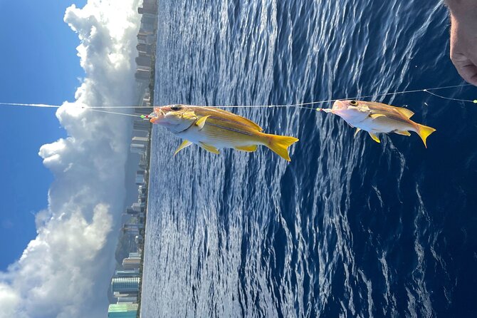 Private Fishing Charter for Family and Friends in Honolulu - Price and value: is $265 per person fair?