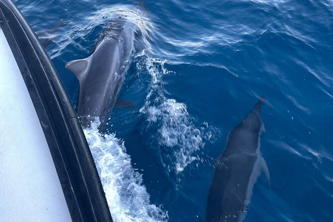 Private Fishing Charter for Family and Friends in Honolulu - Best for families, first-timers, and small groups