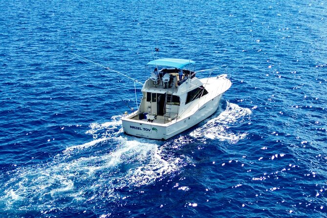 Private Luxury Sportfishing Experience Aboard Limitless - The nearshore switch: what happens when the pelagic bite is slow