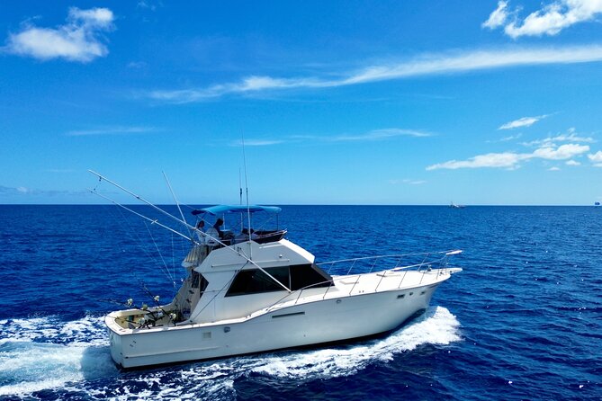 Private Luxury Sportfishing Experience Aboard Limitless - Onboard comfort: A/C, Wi‑Fi, TV, and how that helps on rough days