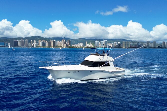 Private Luxury Sportfishing Experience Aboard Limitless - Sea life sightings that can make the day feel bigger