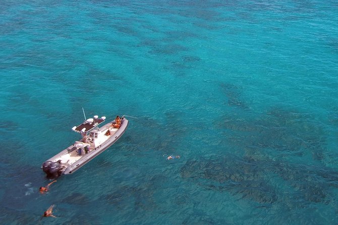 Private Snorkeling and Wildlife on The Adventure Boat - What the crew does in the water (and why it matters for beginners)