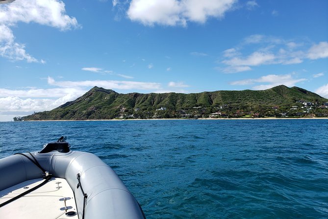 Private Snorkeling and Wildlife on The Adventure Boat - Wildlife watching highlights: dolphins, sea turtles, whales, and more
