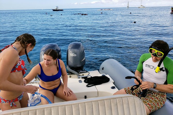 Private Snorkeling and Wildlife on The Adventure Boat - Price and value: $725 for a private boat that can pay off
