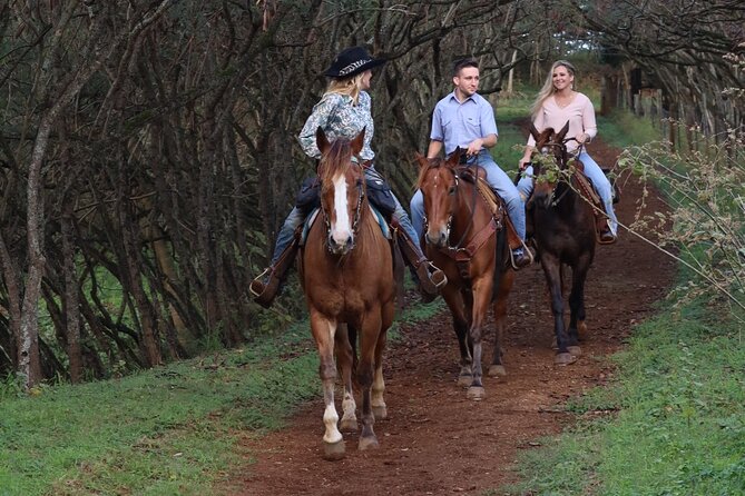 Private Sweetheart Horseback Ride - The private picnic lunch: homemade bread, fruit, chips, cookies, cider