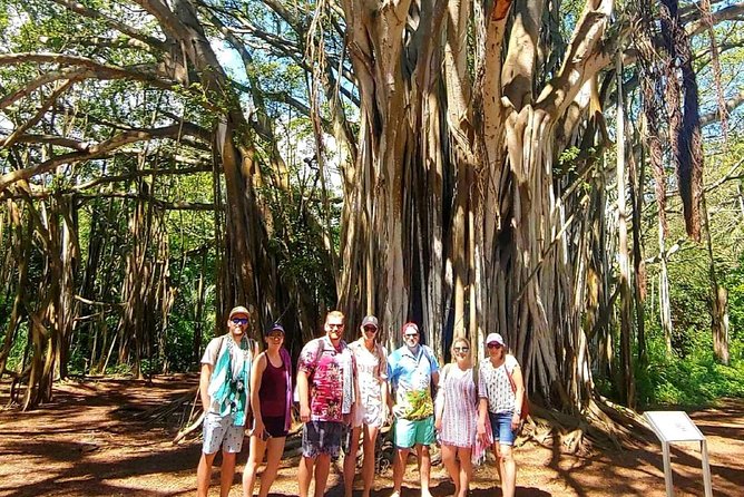 Private Tour Oahu Circle Island - Fully Personalized Experience - Building the rest of the circle: your stops, your pace