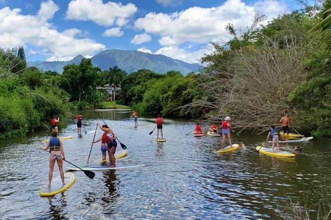 Private Tour Oahu Circle Island - Fully Personalized Experience - Who this tour fits best (and who might want a different option)