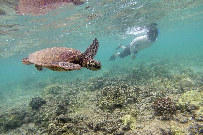 Private Tour of Oahu for 6 to 11 people - up to 8 hours - Lunch and local bites without derailing the day