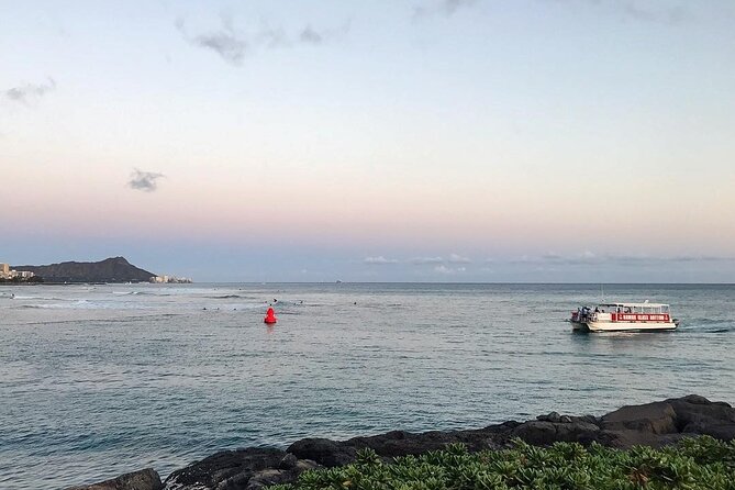 Sea Safari, Dolphins, Turtles and Waikiki Cruise - Comfort and what you should bring (since the ocean is the boss)