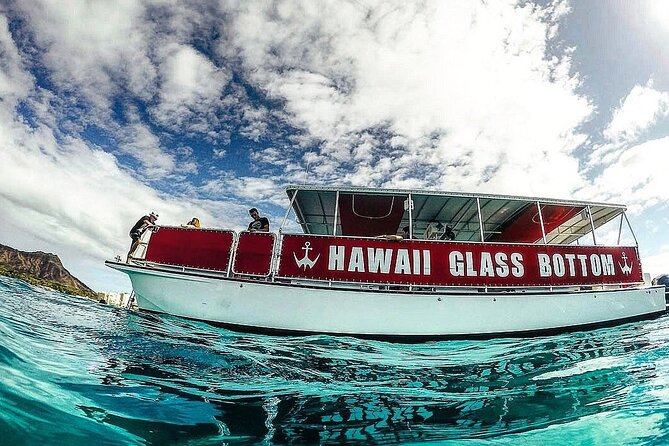 Sea Safari, Dolphins, Turtles and Waikiki Cruise - Stop 1: Kewalo Basin check-in at Slip F21 (watch for the big red sign)