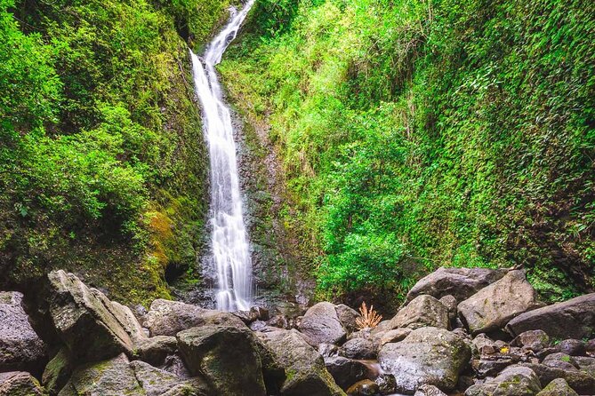 Self guided Hike Trail to Nature Walk & Waterfall - A guided Manoa Falls hike: why this one feels worth $79