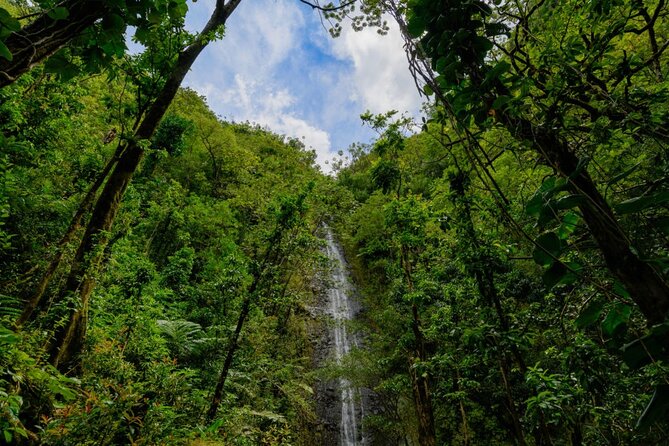 Self guided Hike Trail to Nature Walk & Waterfall - What to bring: your rainforest checklist (and a few smart extras)