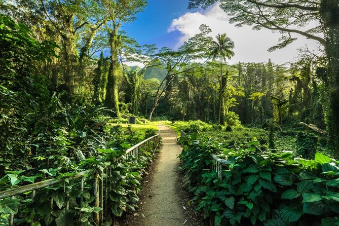 Self Guided Hike Trail to Nature Walk & Waterfall - Getting picked up around Waikiki (and cruise terminals)