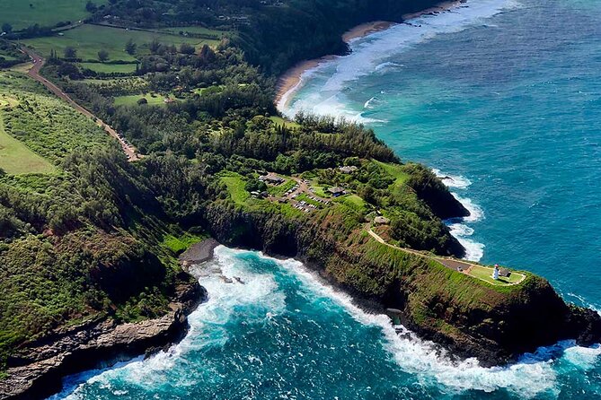 Shared Round-Trip Transfer: Honolulu Airport to Hotel or Cruise Terminal - Return to HNL: pickup at the prearranged time