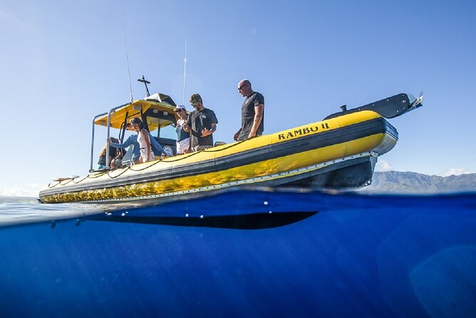 Shark-Dive Tour on Oahu's North Shore - Why the small group cap changes everything
