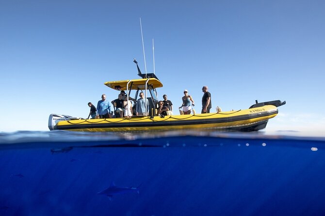 Shark-Dive Tour on Oahu's North Shore - Weather, sea state, and why motion sickness is a real risk