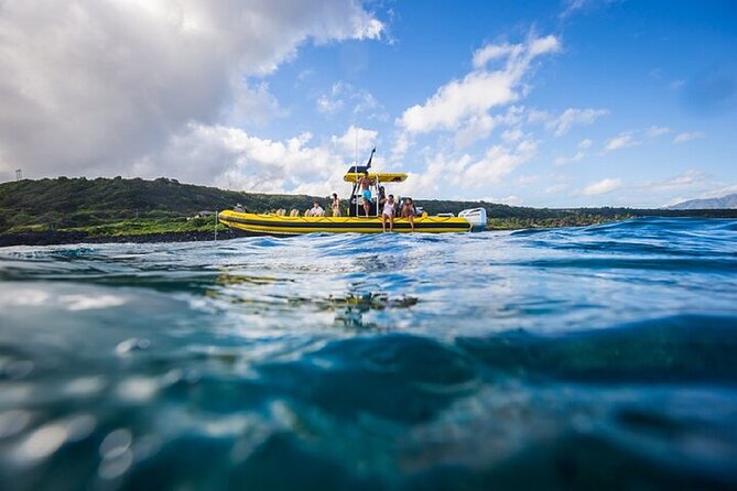Shark-Dive Tour on Oahu's North Shore - Price and value: is $135 a fair deal?
