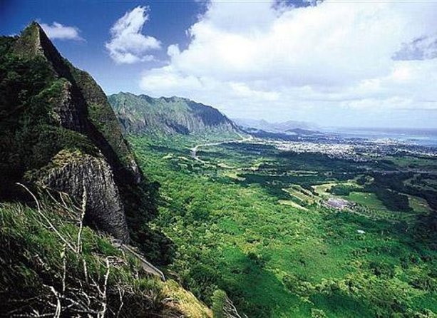 Sights & Bites Ultimate Oahu Circle Island Foodie Tour - Key things I’d bet on (before you book)