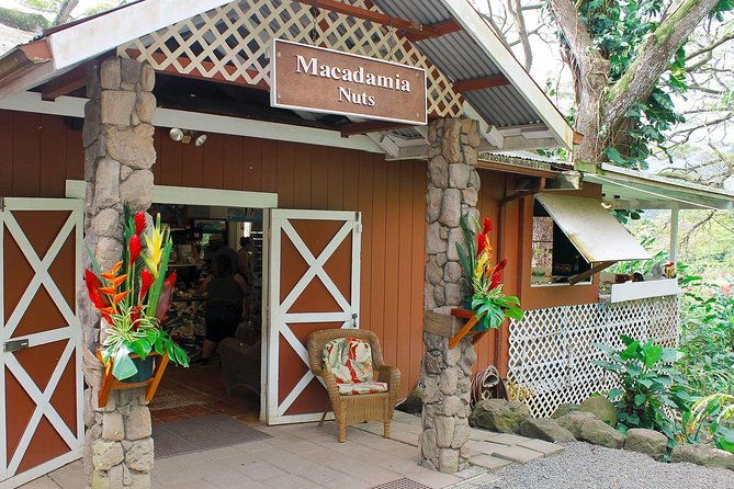 Sights & Bites Ultimate Oahu Circle Island Foodie Tour - Pua‘ena Point Turtle Chance: A Quick Beach Stop With Real Stakes
