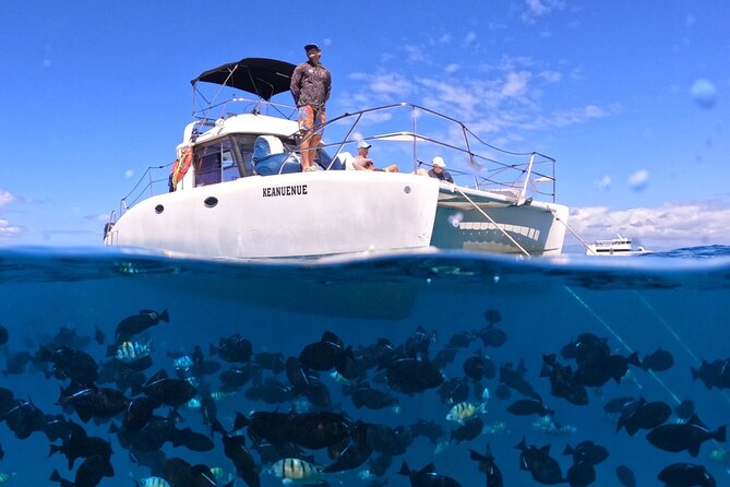 Small Group Turtle Canyon Snorkel in Waikiki (Boat Tour) - Key things I’d zoom in on before booking