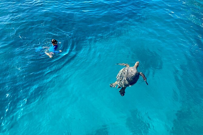 Small Group Turtle Canyon Snorkel in Waikiki (Boat Tour) - Crew care makes the difference between okay and unforgettable