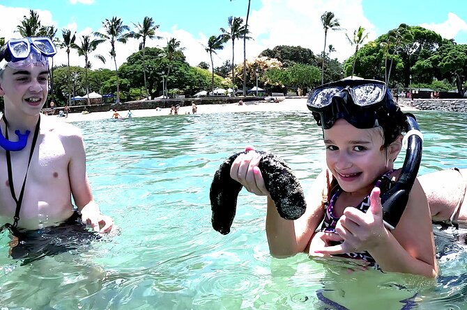 Snorkeling in Waikiki Many Fish All Levels Free Video & Pics! - Key things I’d watch for before you book