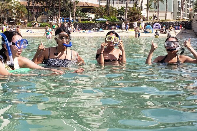 Snorkeling in Waikiki Many Fish All Levels Free Video & Pics! - Small group time with real attention