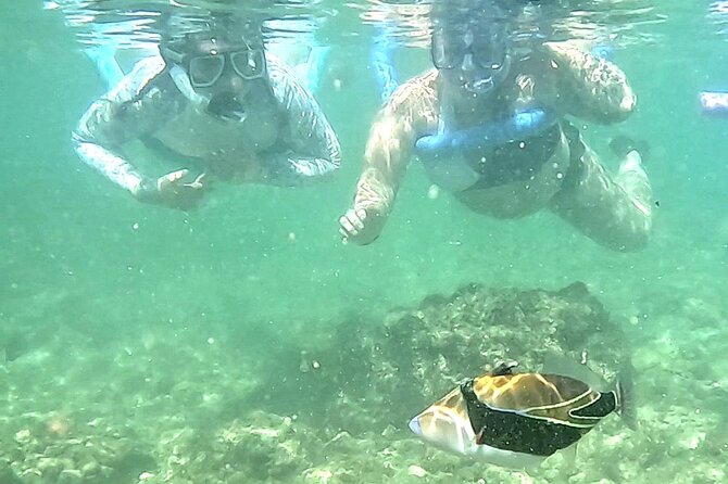 Snorkeling in Waikiki Many Fish All Levels Free Video & Pics! - Price and value: $38 makes sense when you compare the extras