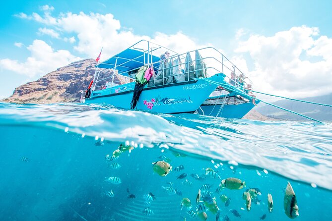 Snorkeling with Sea Turtles in Waikiki Hawaii Boat Tour - From the dock to Turtle Canyon: the catamaran ride you’ll actually enjoy