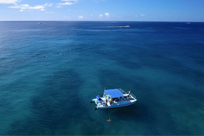 Snorkeling with Sea Turtles in Waikiki Hawaii Boat Tour - Snorkeling with green sea turtles: what to expect in the water