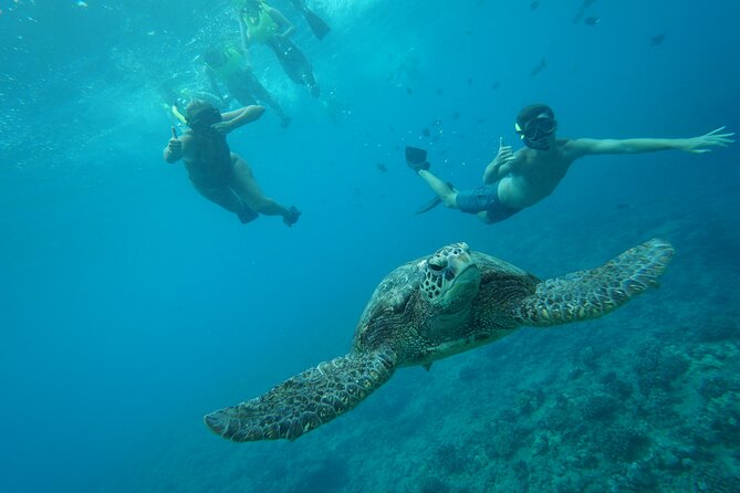 Snorkeling with Sea Turtles in Waikiki Hawaii Boat Tour - Lunch plans: BYOB on board plus what’s included
